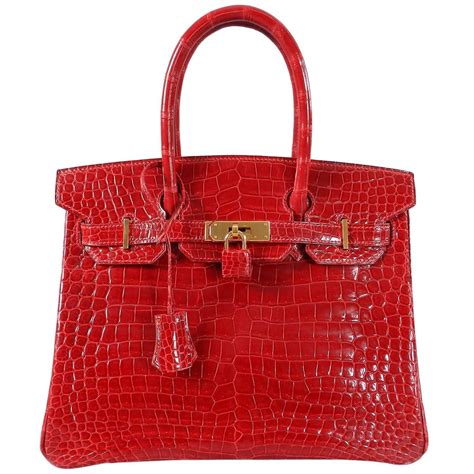 hermes crocodile porosus